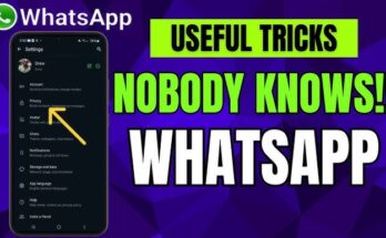 Whatsapp Hidden Secrets